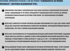 Домашние заготовки: как сохранить вкус лета