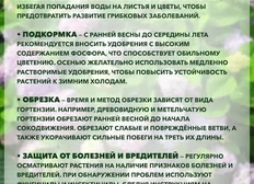 Защита дерева от влаги и вредителей: Антисептики, лаки, пропитки – Полный гид 2025